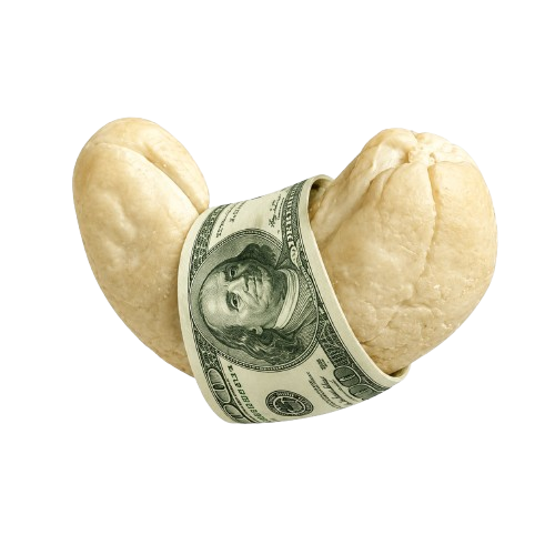 CASHEW logo